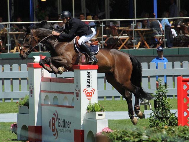 在这场比赛 在这场比赛