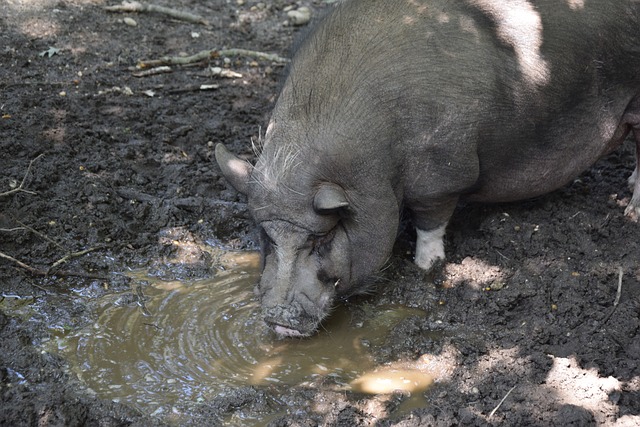 个性与团队 个性与团队