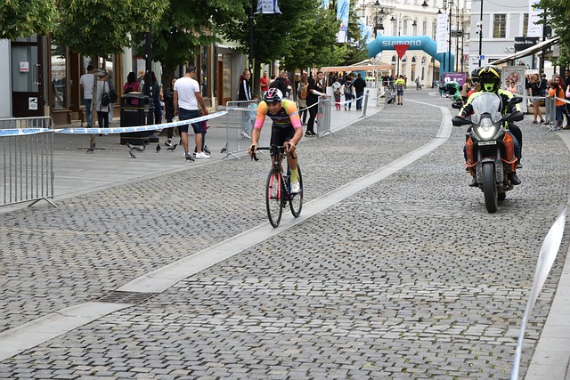 证明了他们 证明了他们