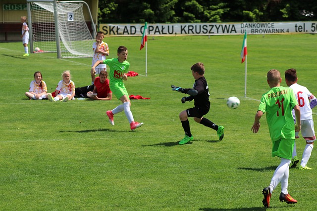 化的环境中 化的环境中