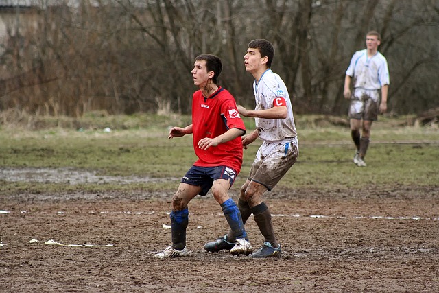 小因扎吉果 小因扎吉果